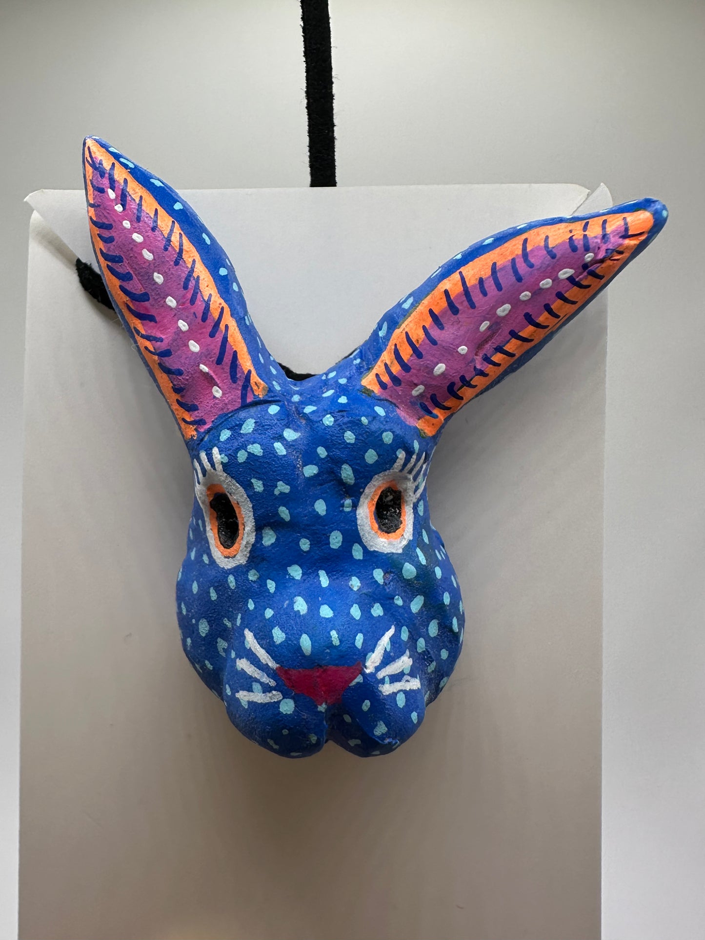 Rabbit Head